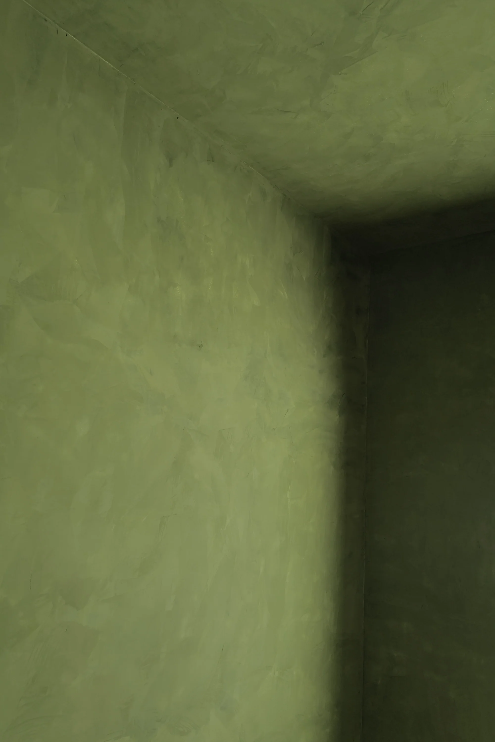 Ponderosa - Image 4